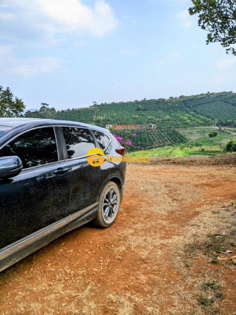 Bán farm nghỉ dưỡng 5.4ha tại thôn 9,xã đà loan,đức trọng,lâm đồng chỉ 270trsào