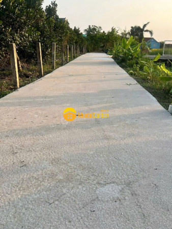 Bán nền thổ 5x23 mt kênh đường nguyễn văn sơn cách tl833 100m tại xã tân trụ tỉnh tây ninh