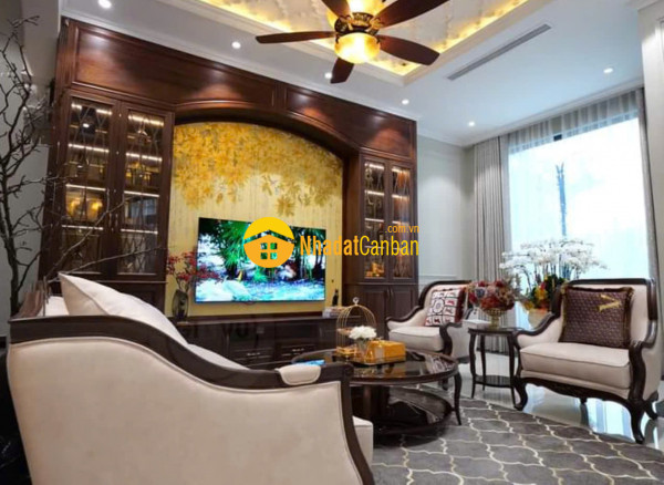 Biệt thự mặt phố bùi thiện ngộ kđt việt hưng gần trường marie curie 186m2 chỉ 39.9 tỷ. 0989626116