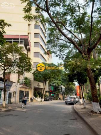 Bán nhà phố nguyễn đình hoàn, 105m2, 5 tầng, mt 4.6m, 16.5 tỷ